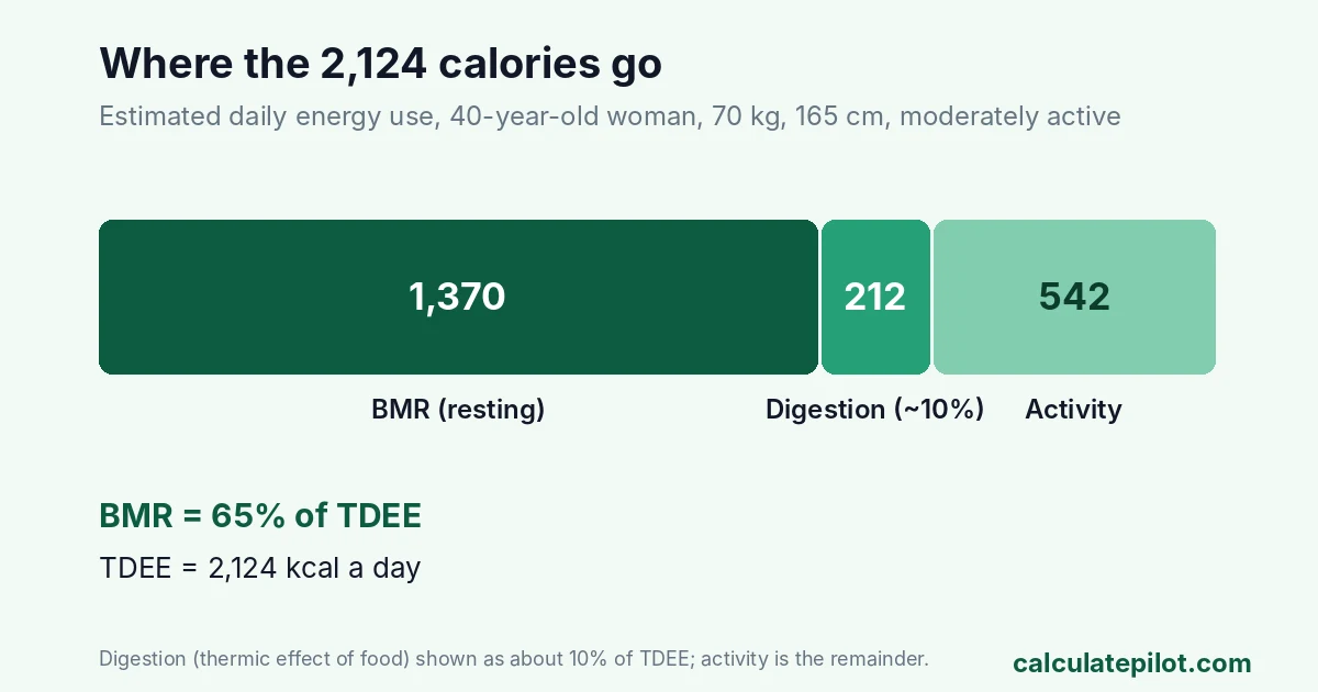 Stacked bar showing BMR 1,370, digestion 212 and activity 542 calories adding to a TDEE of 2,124